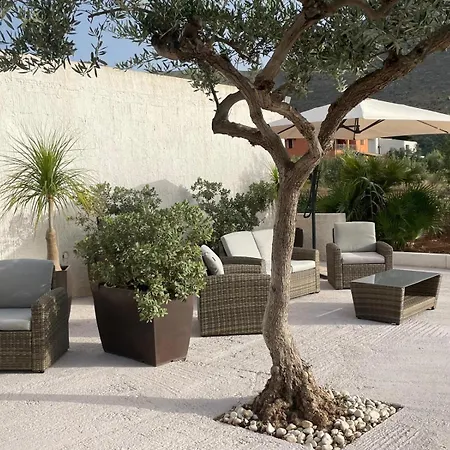 Olea-3