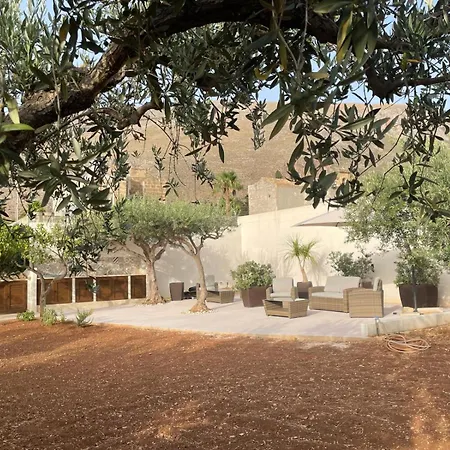 Olea-2